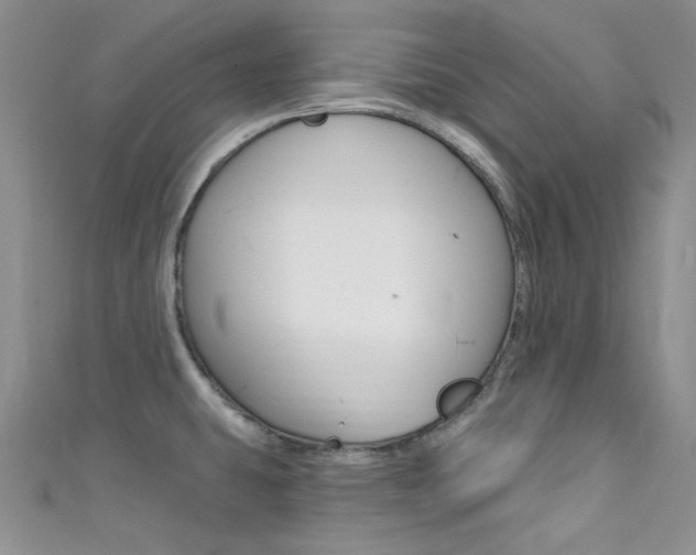 X0000111481431200907141034