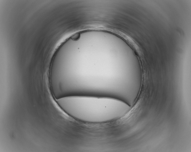X0000111481432200907141034