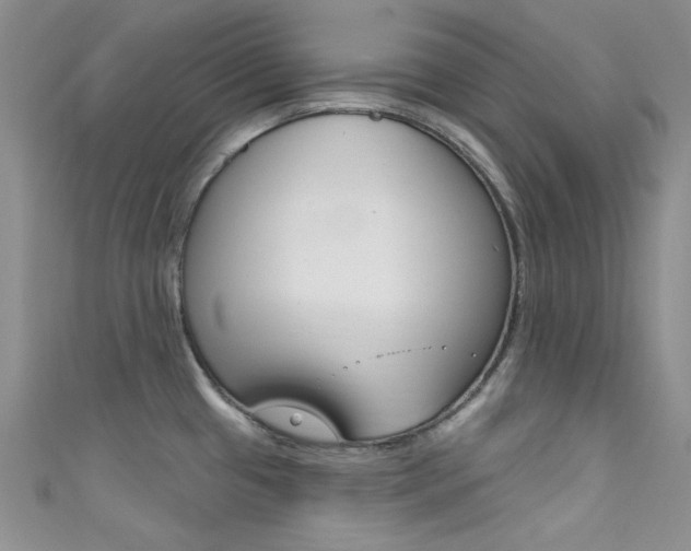 X0000111481433200907141034
