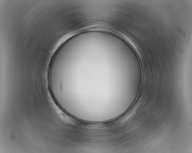 X0000111481434200907141034