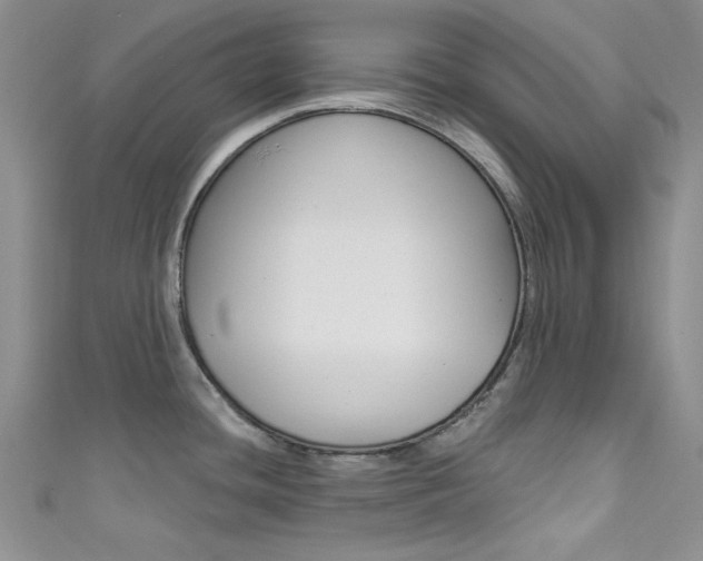 X0000111481436200907141034