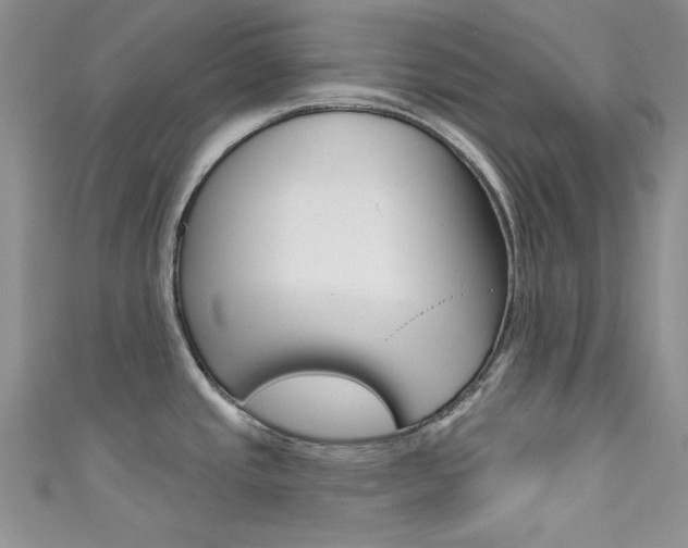 X0000111481437200907141034