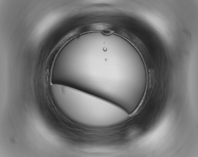 X0000111481438200907141034
