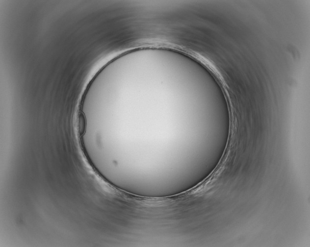 X0000111481440200907141034
