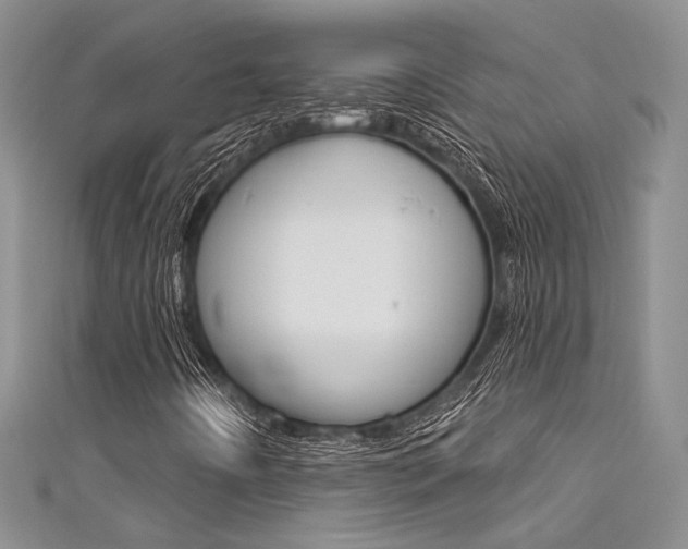 X0000111481442200907141033