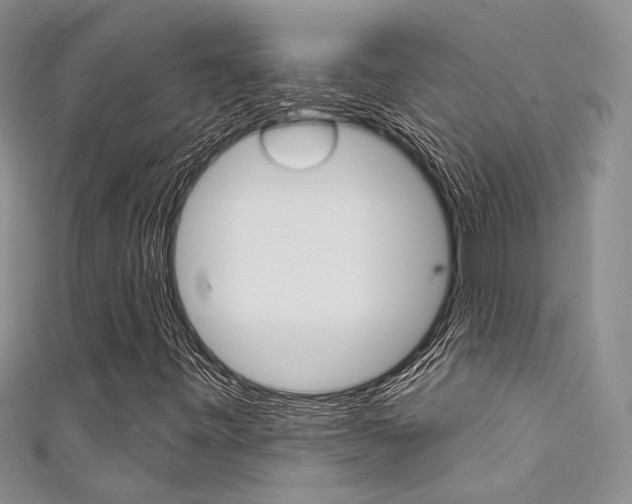 X0000111481443200907141033