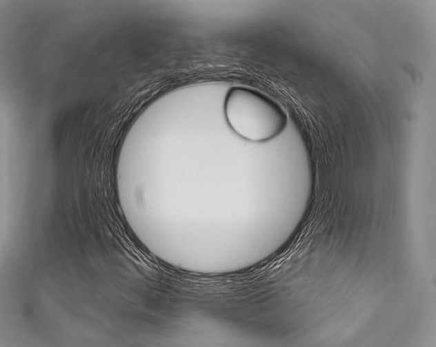 X0000111481444200907141033