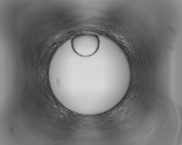 X0000111481445200907141033