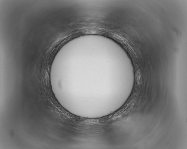 X0000111481446200907141033