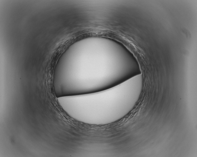 X0000111481447200907141033