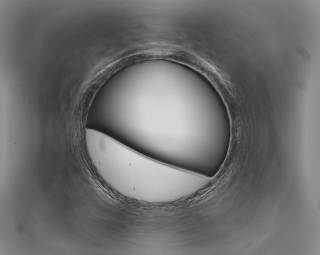 X0000111481448200907141033