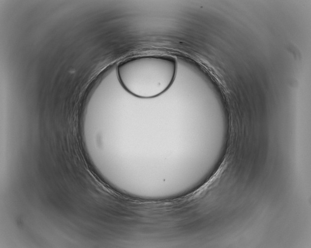 X0000111481449200907141033