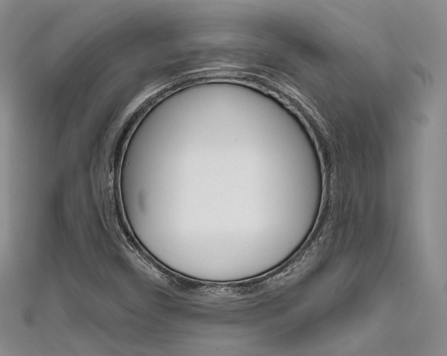 X0000111481450200907141033