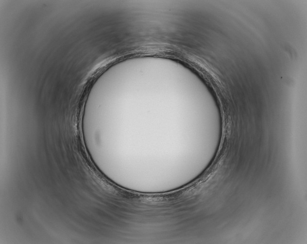 X0000111481451200907141033