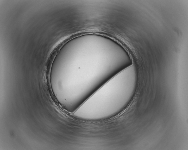 X0000111481452200907141033