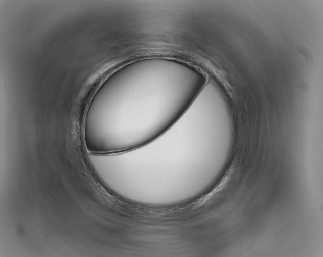 X0000111481453200907141033