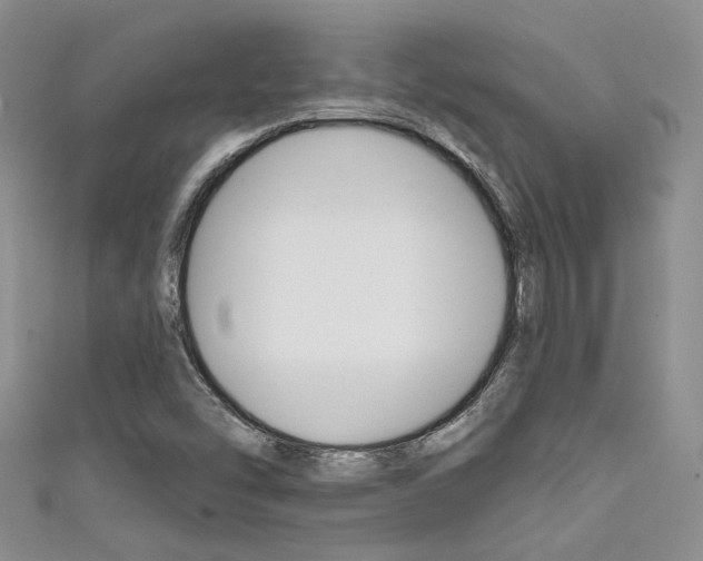 X0000111481454200907141033