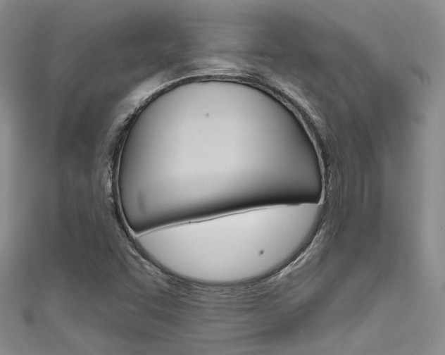X0000111481455200907141033