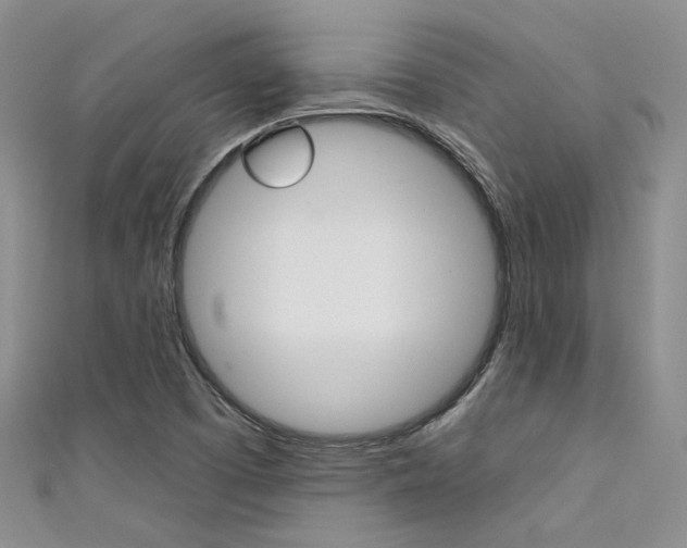 X0000111481457200907141033