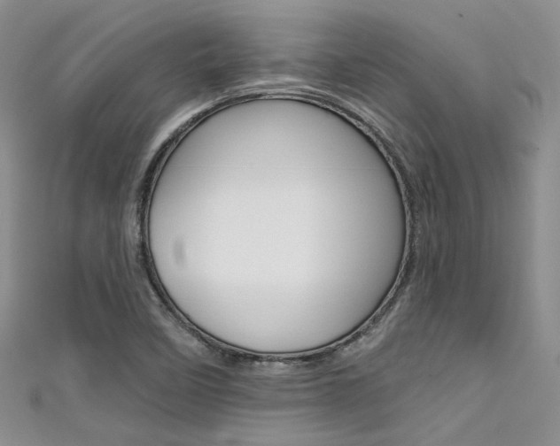 X0000111481458200907141033