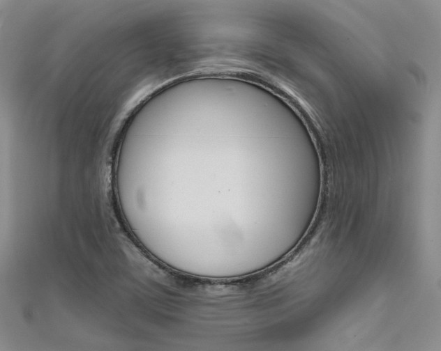 X0000111481459200907141033