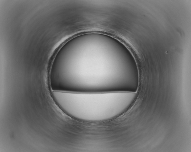 X0000111481460200907141033