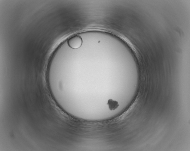 X0000111481461200907141033