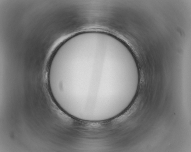 X0000111481462200907141033