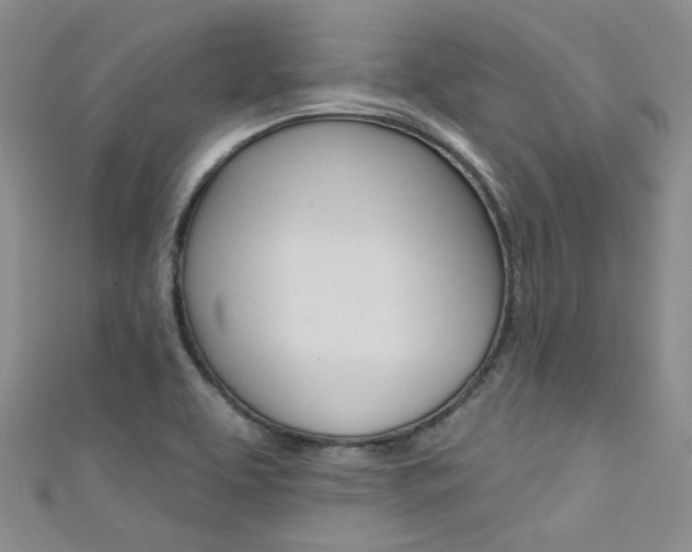X0000111481463200907141033