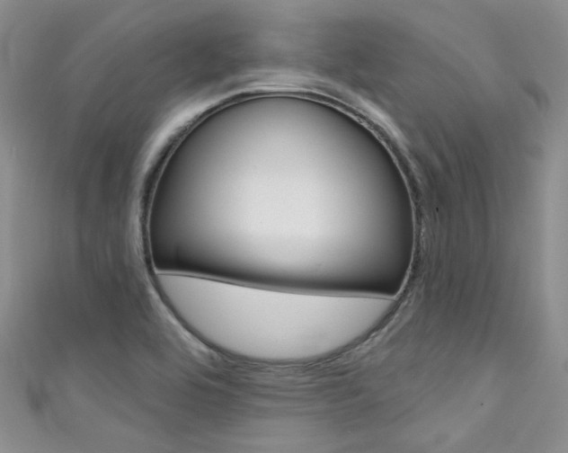X0000111481464200907141033