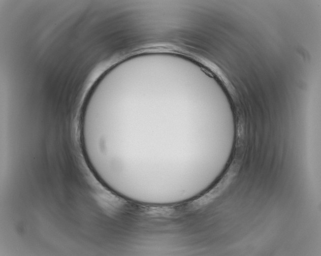 X0000111481466200907141033