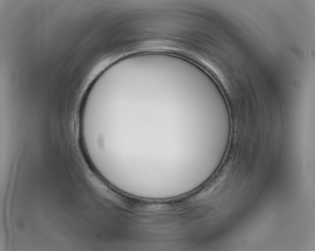 X0000111481467200907141033