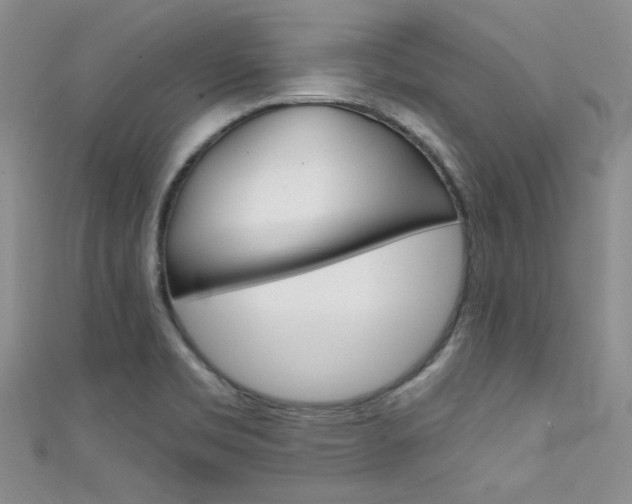 X0000111481469200907141033