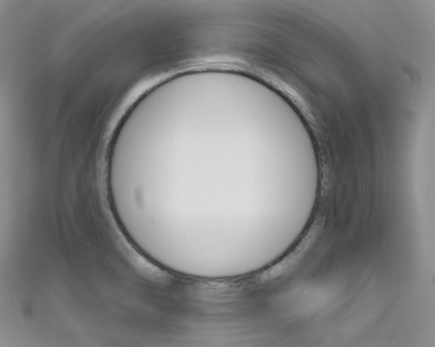 X0000111481470200907141033