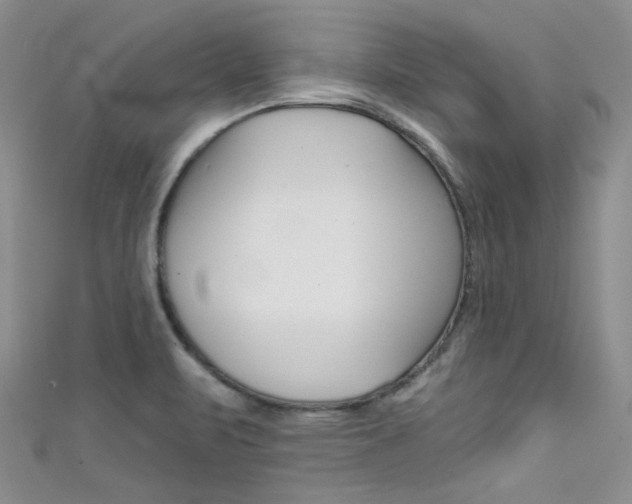 X0000111481471200907141033