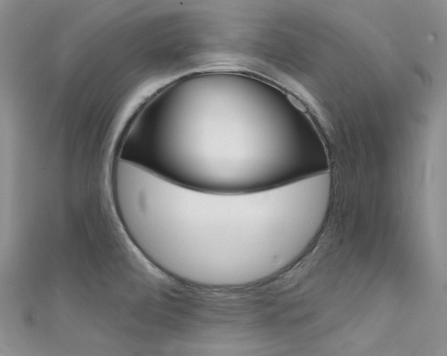 X0000111481472200907141033