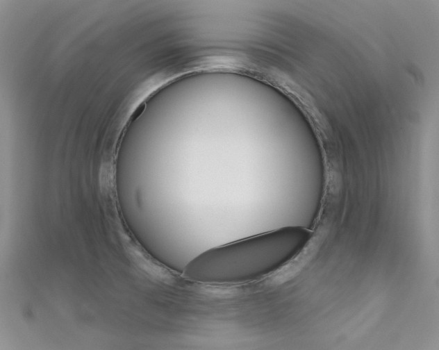 X0000111481473200907141033