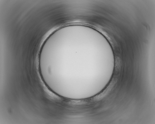 X0000111481474200907141033