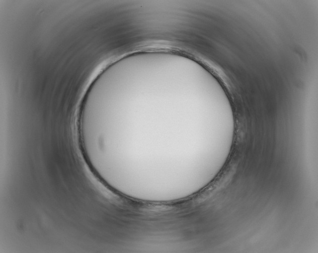 X0000111481475200907141033