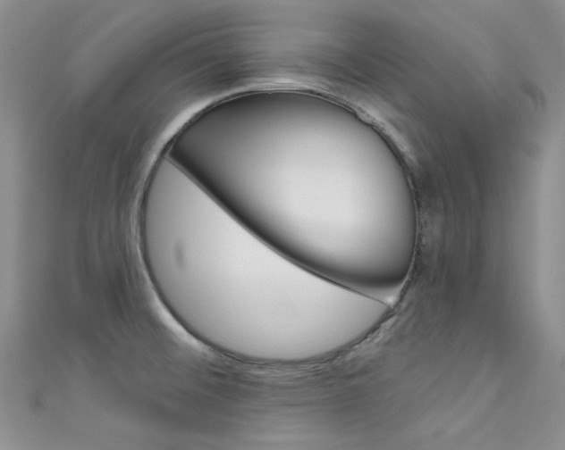 X0000111481476200907141033