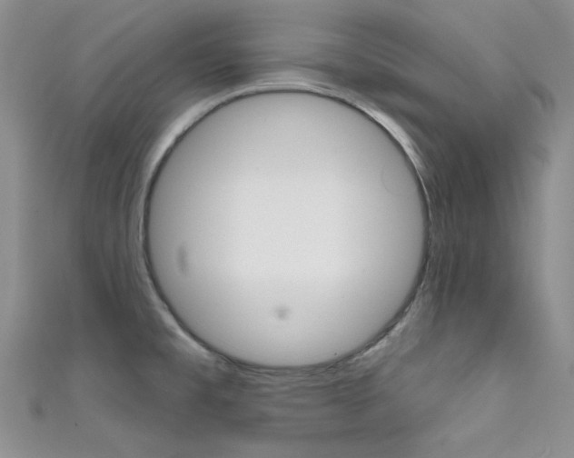 X0000111481477200907141033