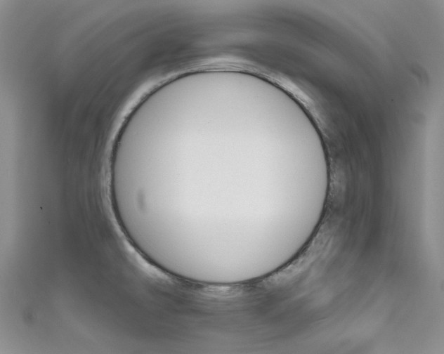 X0000111481478200907141033