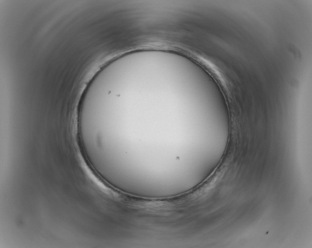 X0000111481479200907141033