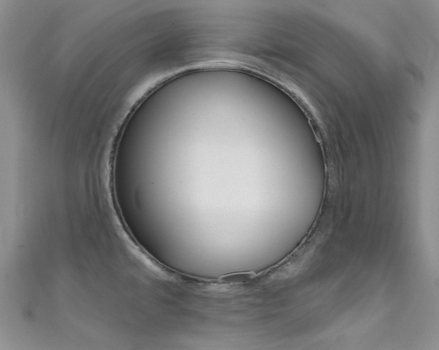 X0000111481480200907141033