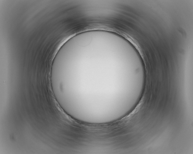 X0000111481481200907141033