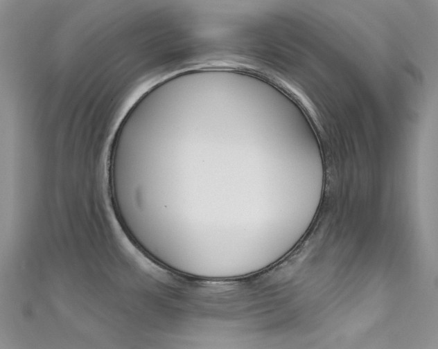 X0000111481483200907141033