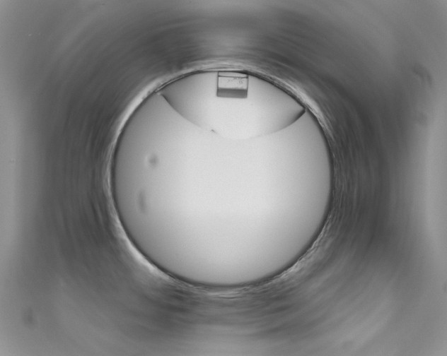 X0000111481484200907141033