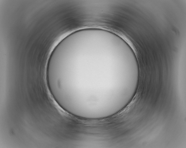 X0000111481485200907141033