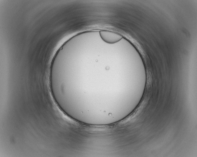 X0000111481486200907141033