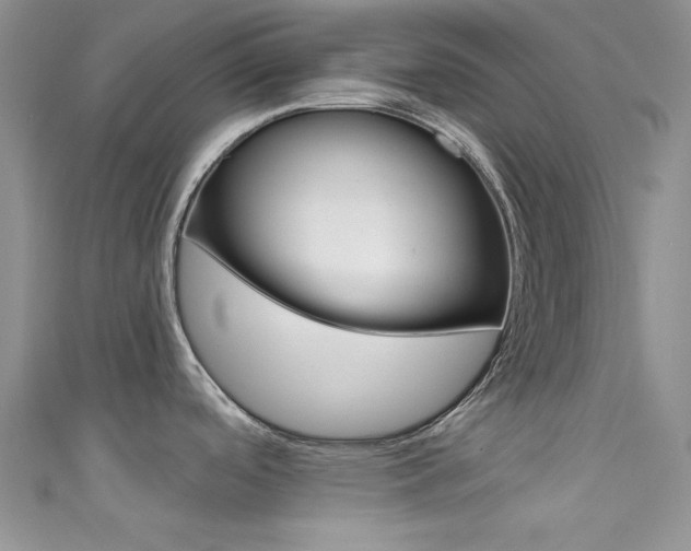 X0000111481488200907141033